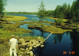 kollaa